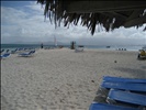 The Beach on Palomino Island